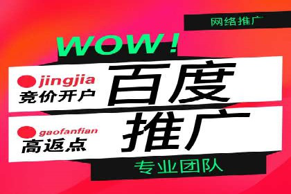 托管SEM竞价服务提供商的选择与评估标准